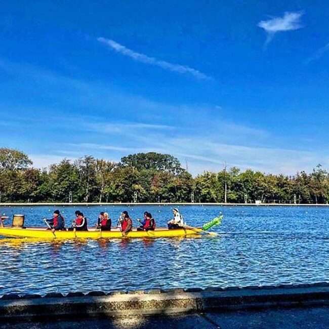 Maschsee Hannover - Ein langes gelbes Drachenboot gleitet über einen ruhigen, blauen See. Sechs Ruderer rudern beim Drachenbootrennen in Hannover in perfekter Harmonie. Die Ruderer, in rote Schwimmwesten gekleidet, werden von den Bäumen am Ufer unter einem klaren, blauen Himmel eingerahmt. - maschseefest Hannover